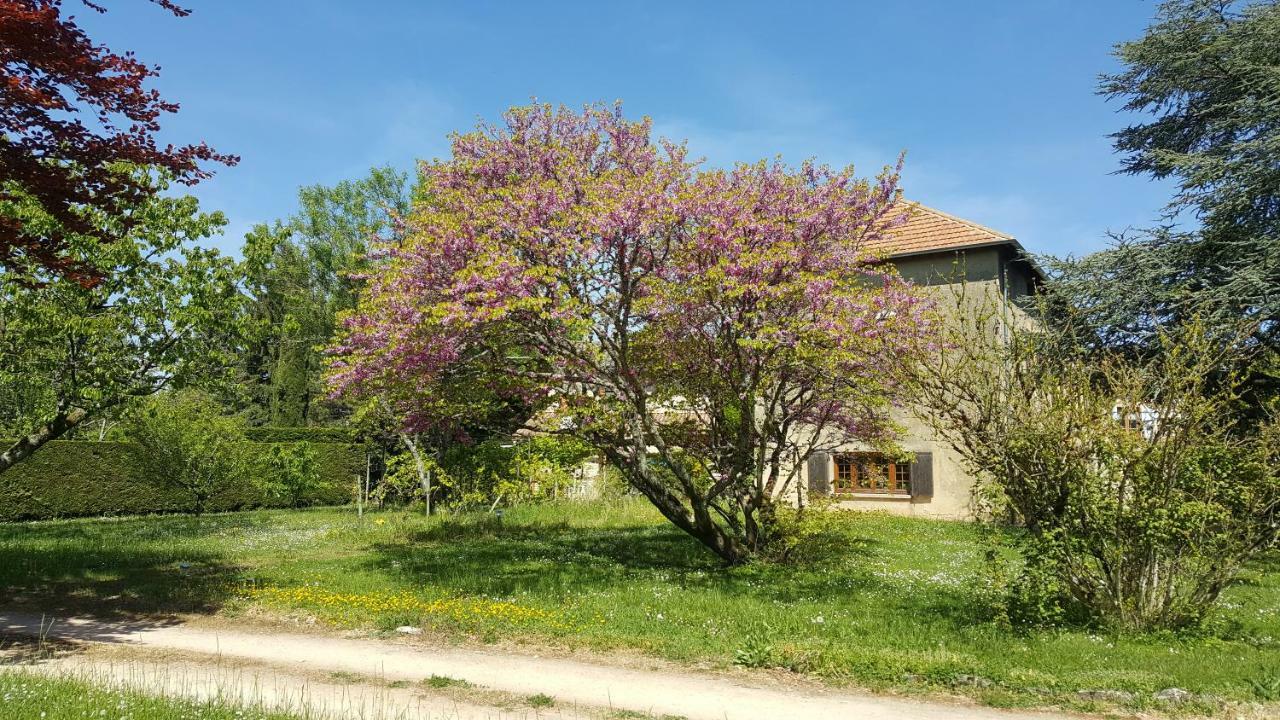 B&B Des Histoires D'Anges - Cote Jardin - Accueil Velo ตูร์นุส ภายนอก รูปภาพ