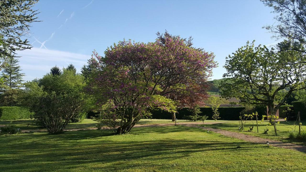 B&B Des Histoires D'Anges - Cote Jardin - Accueil Velo ตูร์นุส ภายนอก รูปภาพ